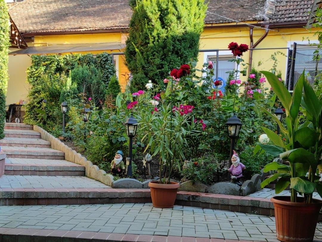 Color Home Hermannstadt Exterior photo